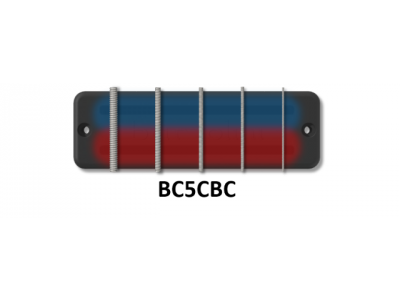 Bartolini BC5CBC 5-String BC Soapbar Classic Bass Dual Coil Pickup Set